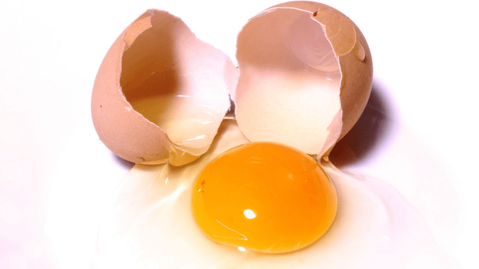 O ovo ingerido pela manhã ajuda a saciar o apetite
